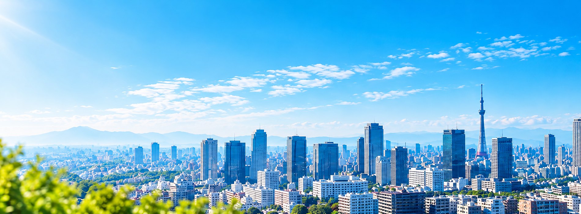 青空の下に広がる東京の街並み